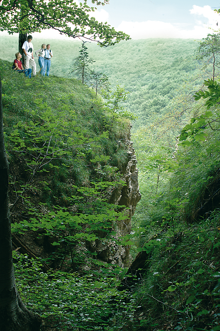 Landschaftsbild